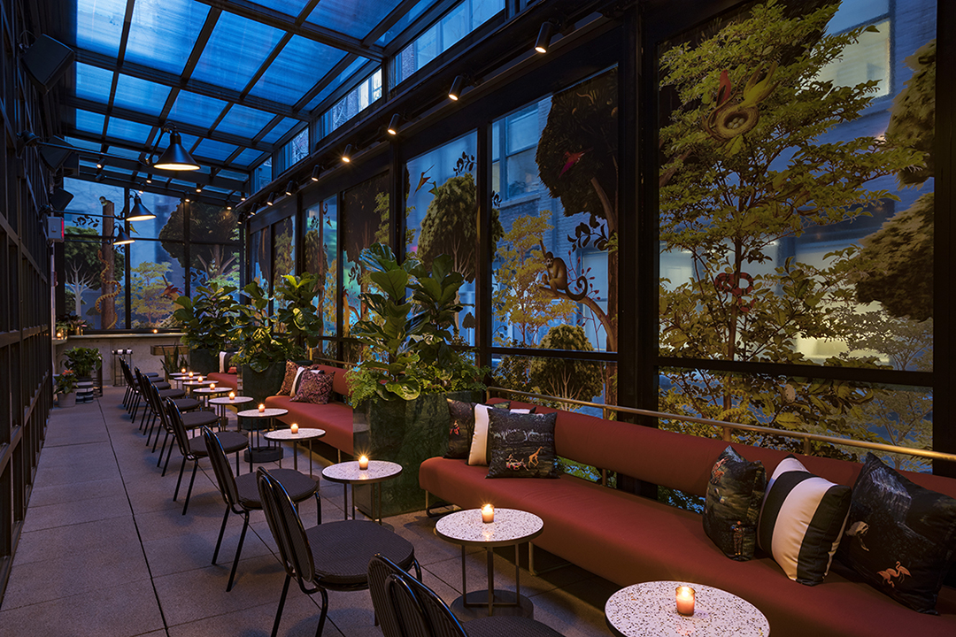 The Lobby Bar's Backyard